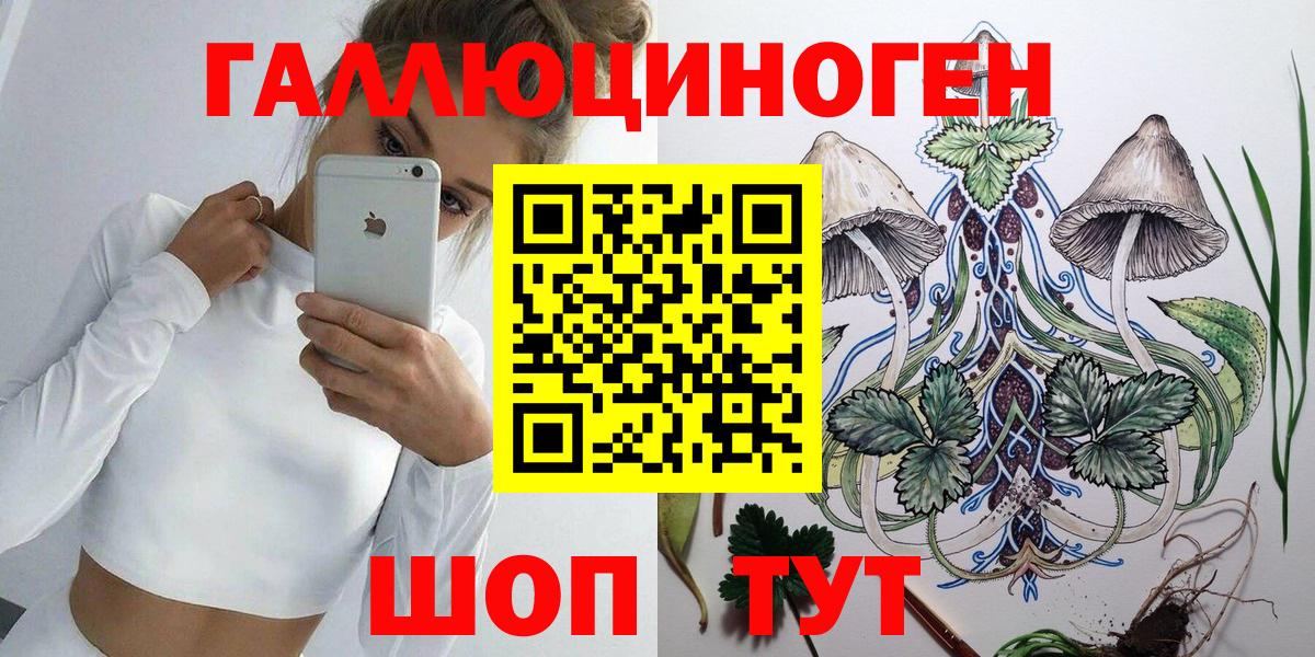 Галлюциногенные грибы Psilocybe Междуреченск